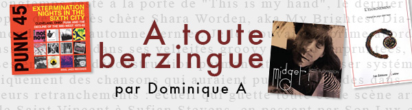 A toute berzingue - Dominique A