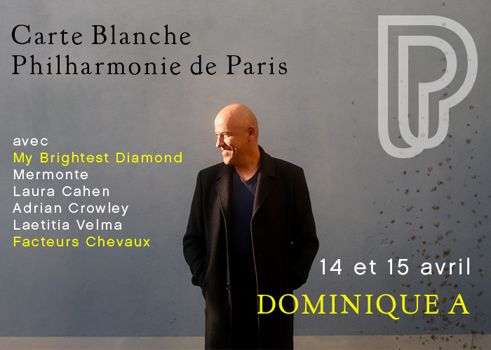 Dominique A - Philharmonie de Paris