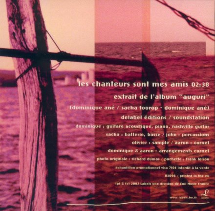 Dominique A - Les chanteurs sont mes amis