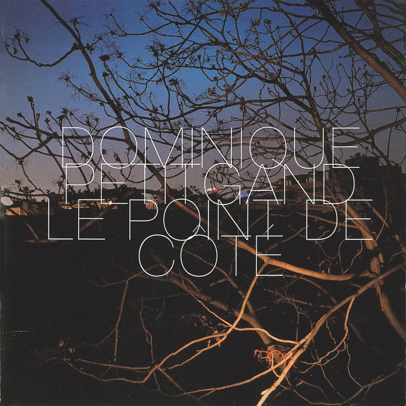 Dominique Petitgand - Point de côté