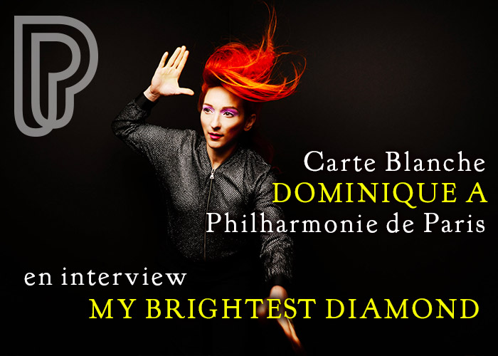 My Brightest Diamond en interview