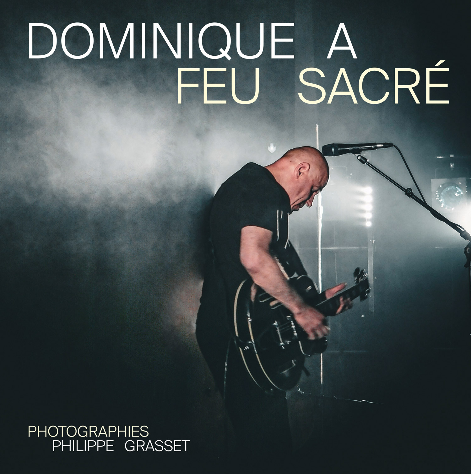 Dominique A - Feu sacré