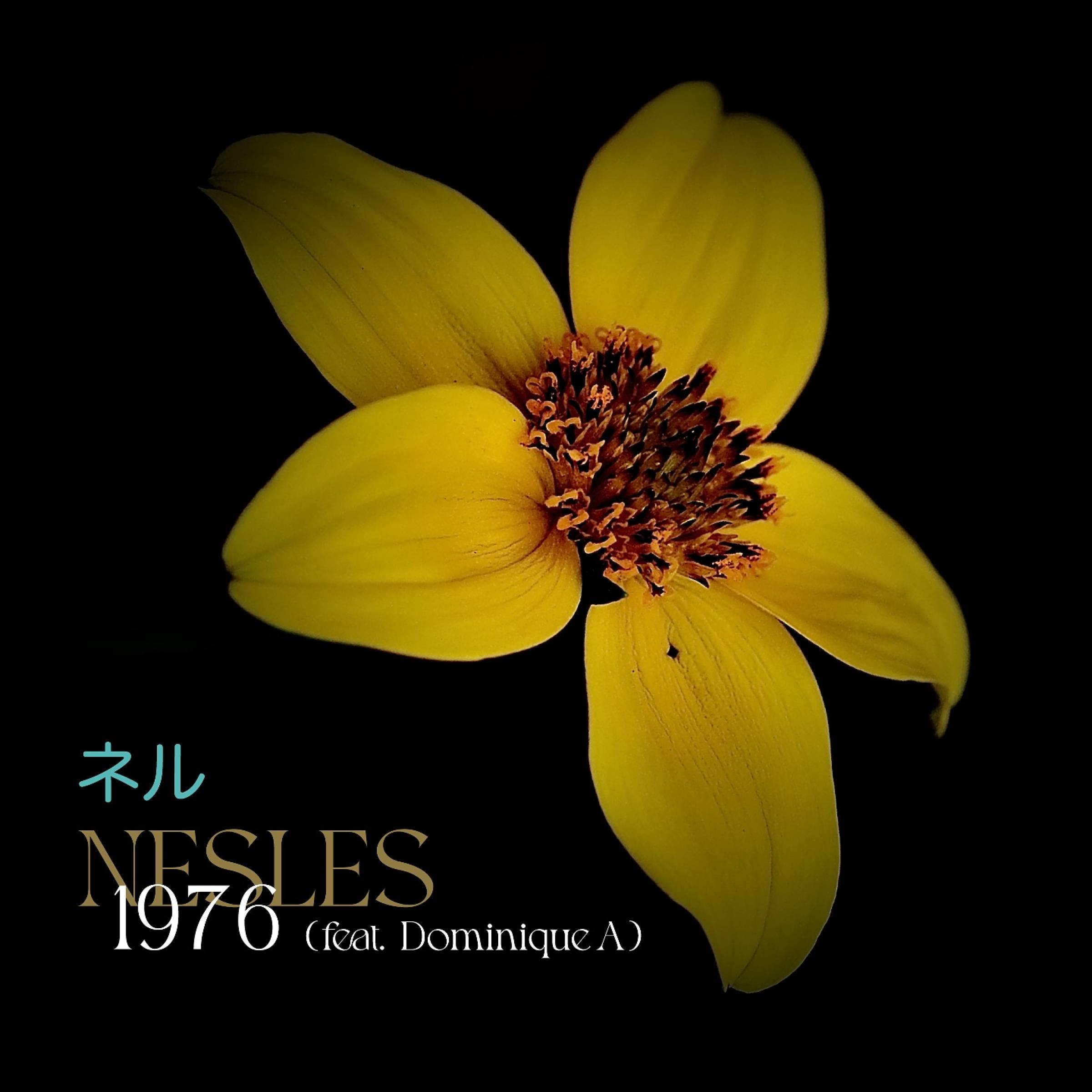 Nesles - 1976